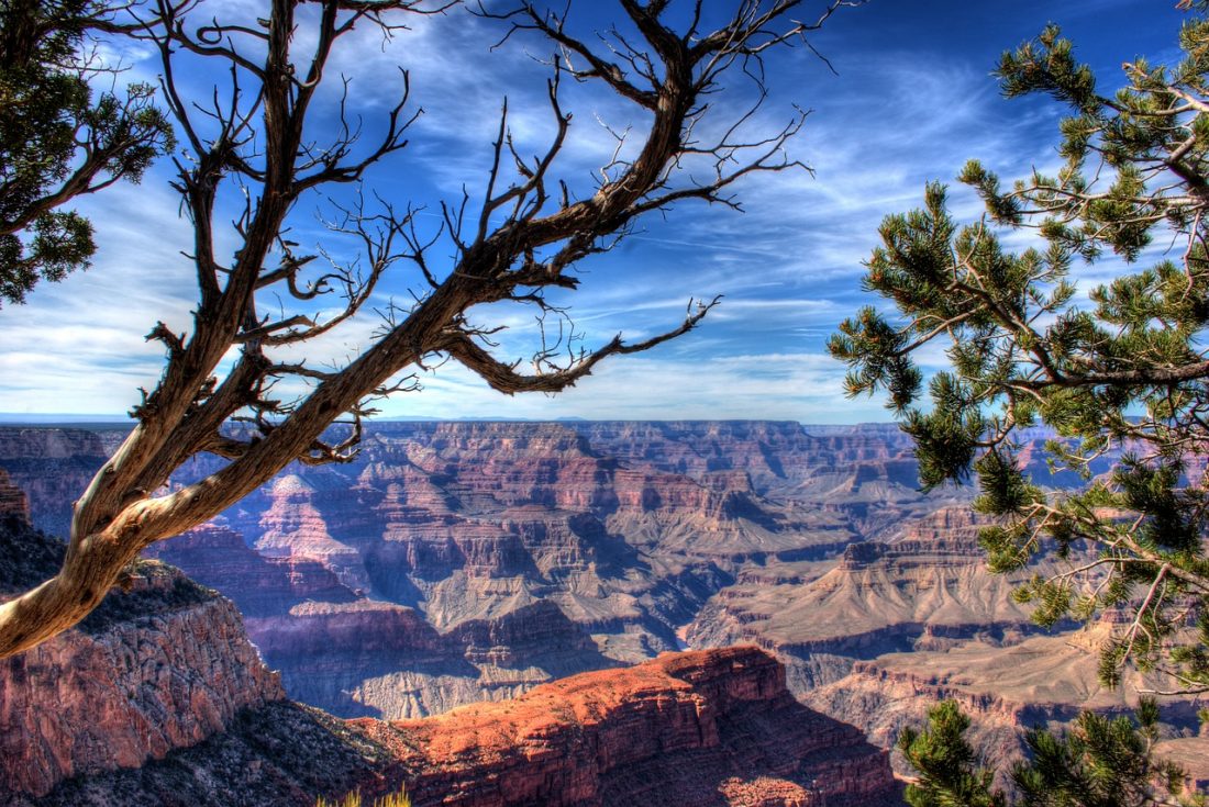 grand canyon road trips in arizona